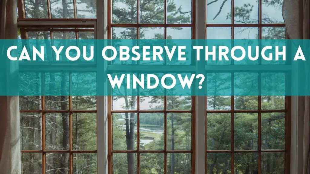 Can you observe through a window?