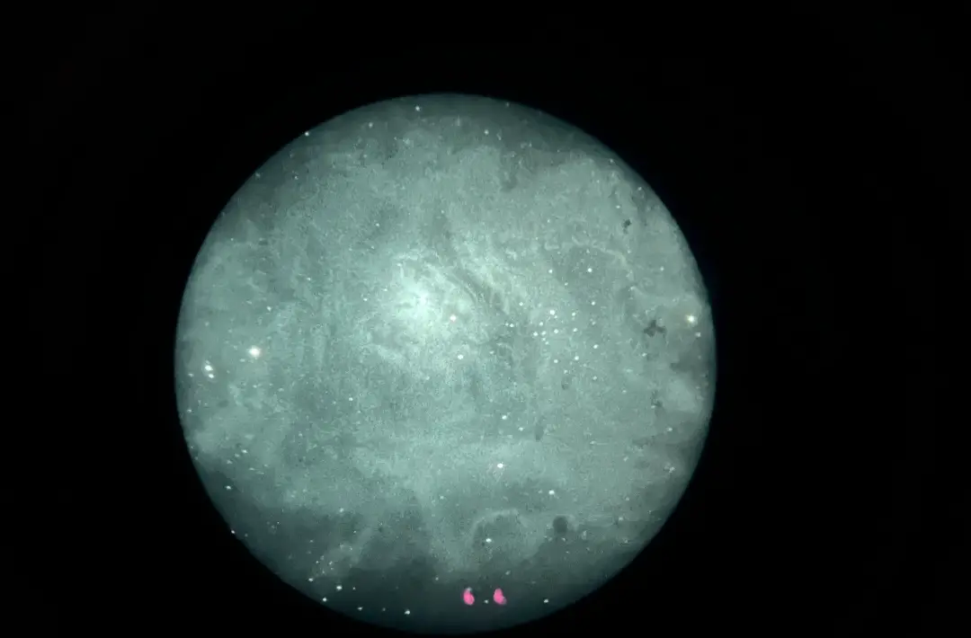 M 8 Lagoon Nebula with Night Vision