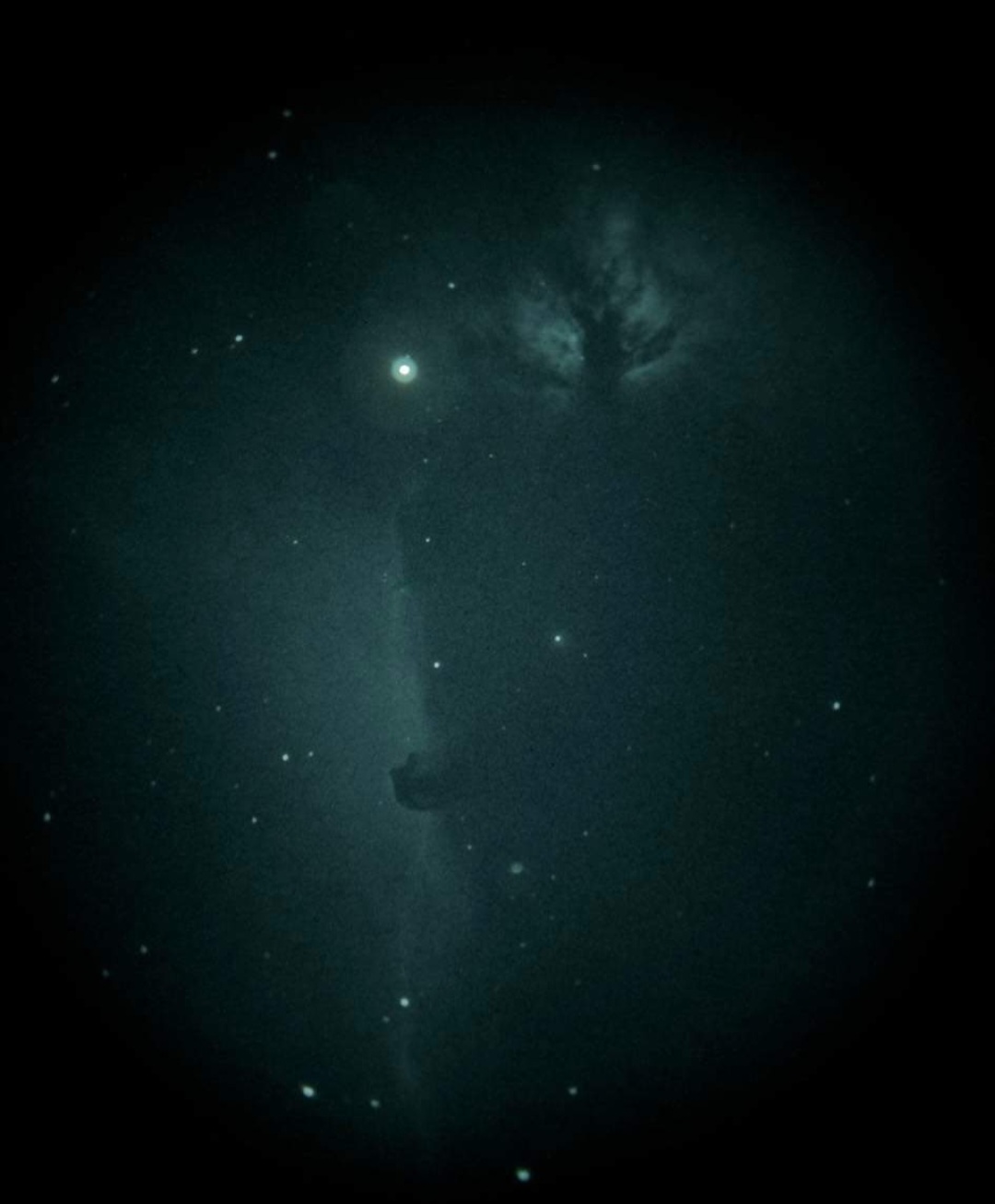 The Horsehead Nebula Its Size and Significance (With Images