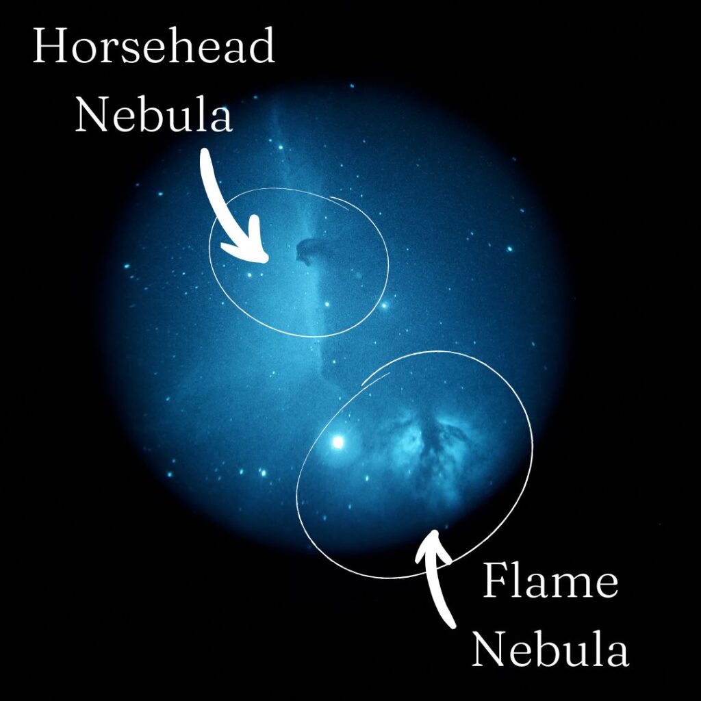 Horsehead and Flame Nebula Circled and Identified